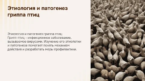 Грипп птиц: этиология, патогенез и диагностика