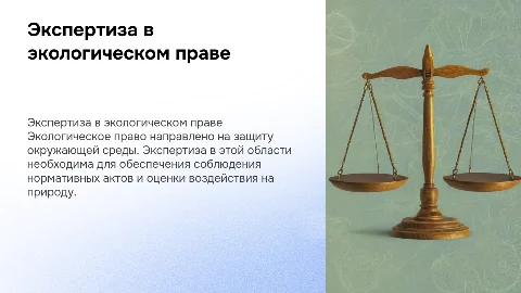 Экспертиза в экологическом праве