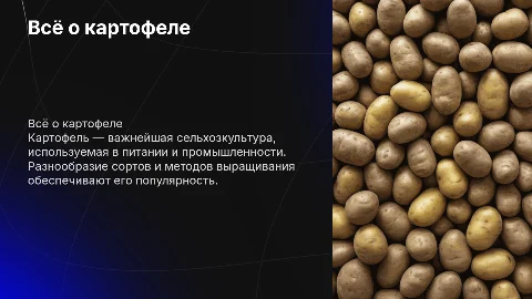 Картофель