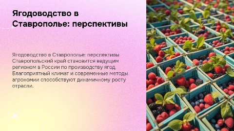 Ягодоводство Ставропольского края