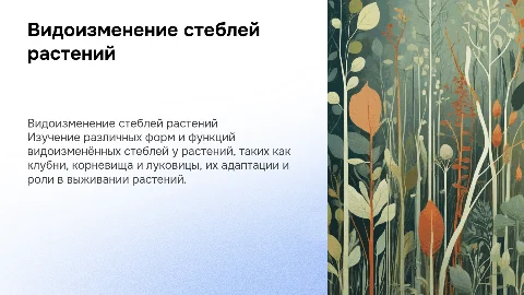 видоизменение стеблей