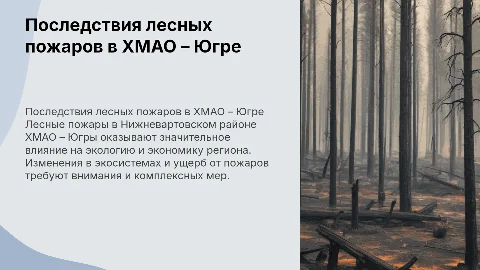 Последствия лесных пожаров в Нижневартовском районе ХМАО