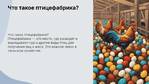 птицефабрика что это такое для детей
