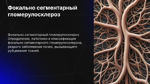 Фокально сегментарный гломерулосклероз: определение и патогенез