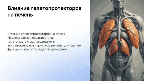 "Макет действия гепатопротекторов на структуру печени"