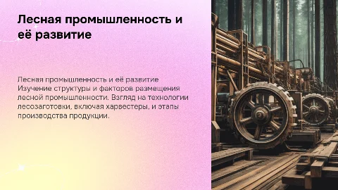 Лесная промышленность: состав, технологии и этапы производства