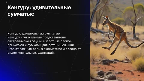 Кенгуру, их особенности