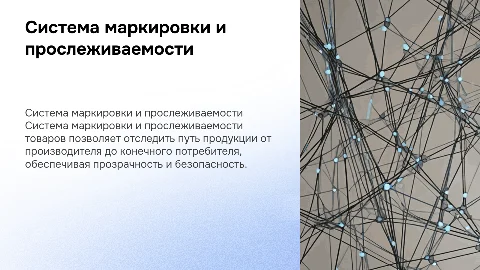 система маркировки и прослеживаемости товаров