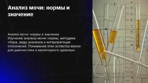 Анализ мочи: нормы, сбор, виды и отклонения