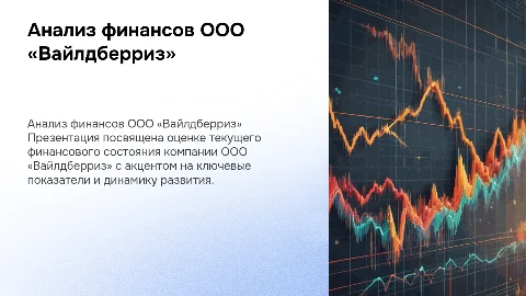 Оценка финансового состояния ООО «Вайлдберриз»