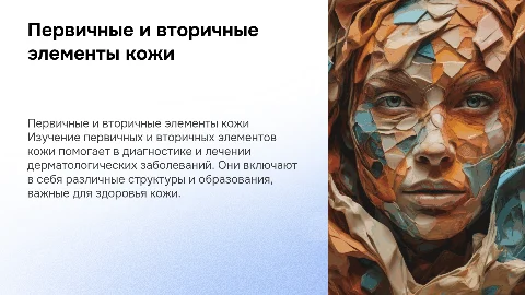 Первичные и вторичные элементы кожи