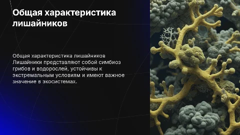 Общая характеристика лишайников