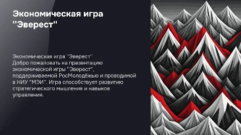 Презентация экономической игры "Эверест" в НИУ "МЭИ"