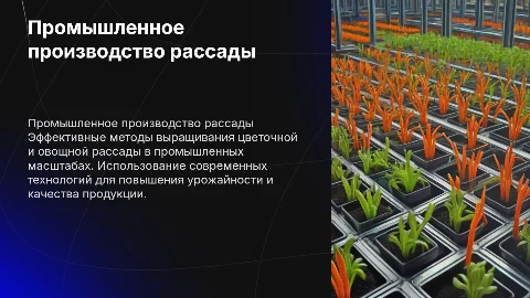 Промышленное производство цветочной и овощной рассады