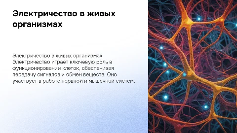 Тема:электричество в живых организмах