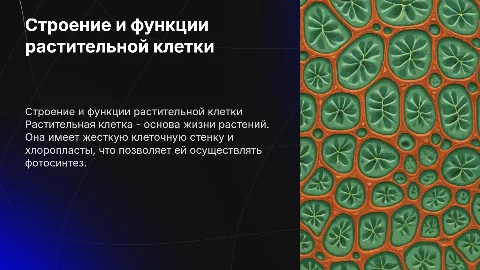 СТРОЕНИЕ И ФУНКЦИИ РАСТИТЕЛЬНОЙ КЛЕТКИ