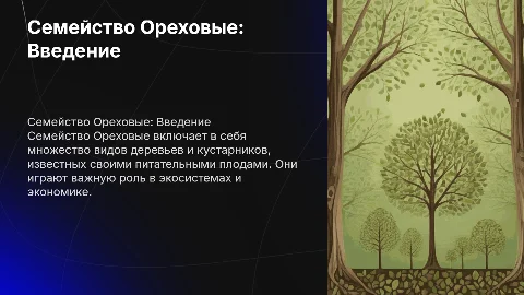 Семейство Ореховые