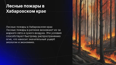 Лесные пожары в Хабаровском крае: причины и последствия