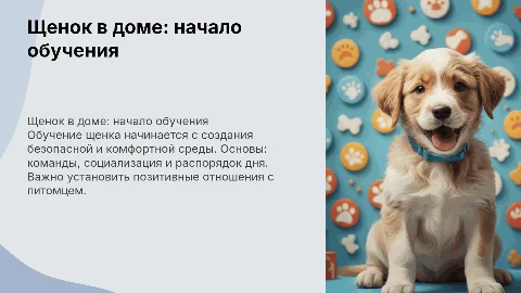 Обучение щенка в доме: с чего начинать и советы