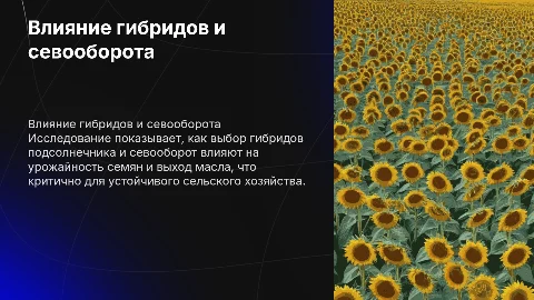 Влияние гибридов подсолнечника на урожайность и выход масла