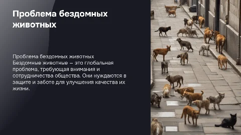 бездомные животные