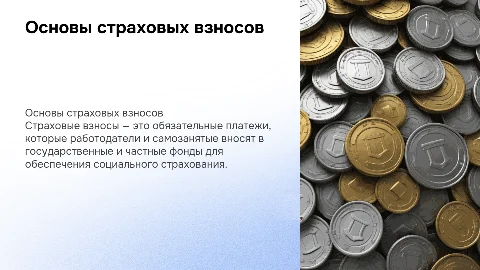 страховые взносы
