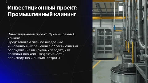 Инвестиционный проект в области промышленного клининга