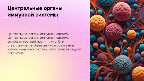 Центральные органы иммунной системы