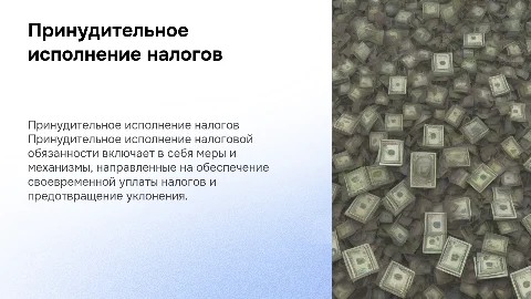 Принудительное исполнение налоговой обязанности»