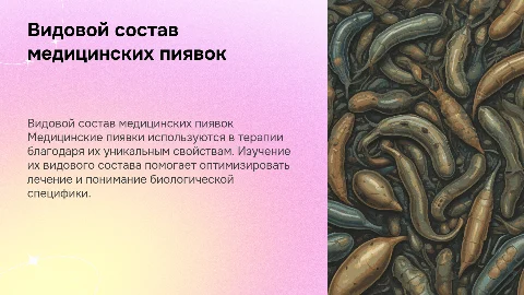 Видовой состав медицинских пиявок