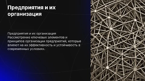 Предприятия и организация