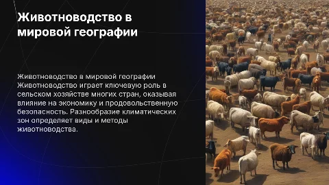 Животноводство. География