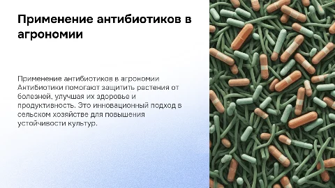 применение антибиотиков для защиты растений