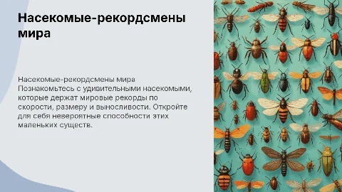 насекомые рекордсмены, добавьте анимации