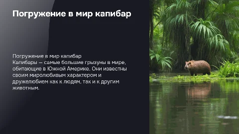 Презентация о с капибарами