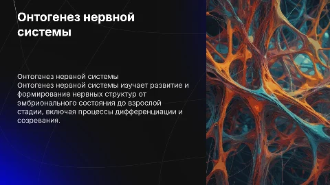 Онтогенез нервной системы