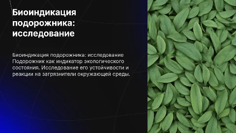 биоиндикация подорожника
