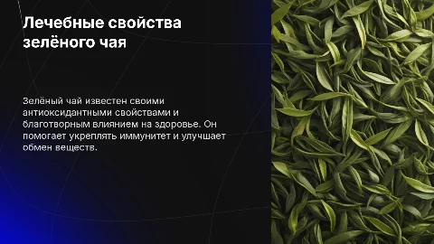 Зелёный чай и его лечебные свойства