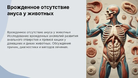 Врожденное отсутствие анального отверстия у животных
