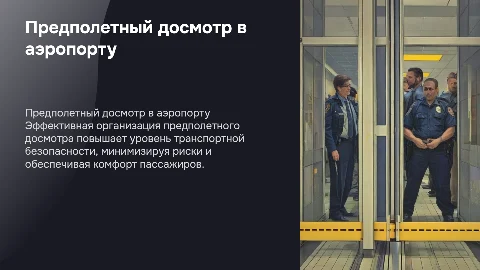 Организация предполетного досмотра в аэропорту для безопасности