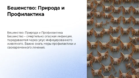 Презентация о бешенстве: природа, передача и профилактика