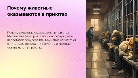 Почему животные остаются без дома и отправляются в приют