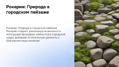 Рокарии в городе
