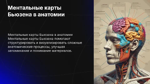 Метод ментальных карт Бьюзена для изучения анатомии