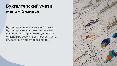 Бухгалтерский учет на малых предприятиях