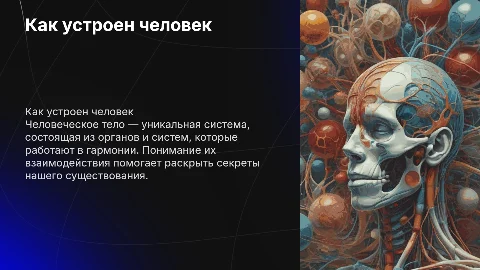 Как устроен человек