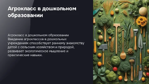 агрокласс в ДОО