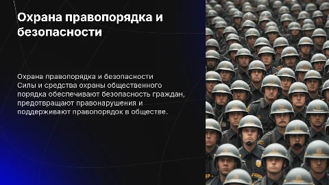 Силы и средства охраны общественного порядка и безопасности