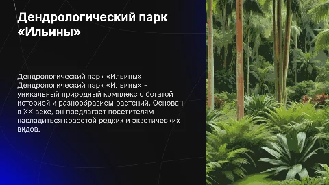 Дендрологический парк «Ильины»: история и растения