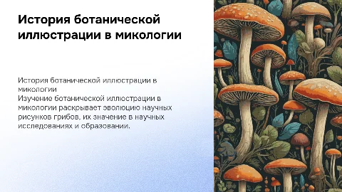 История ботанической иллюстрации в микологии